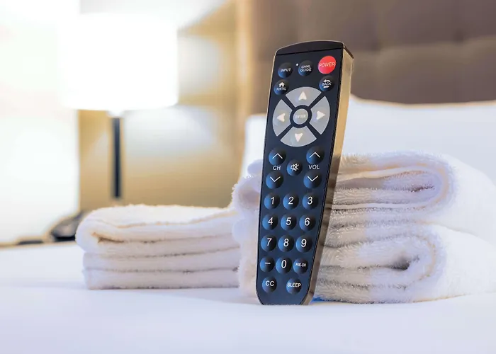Drury Plaza St. Louis At The Arch